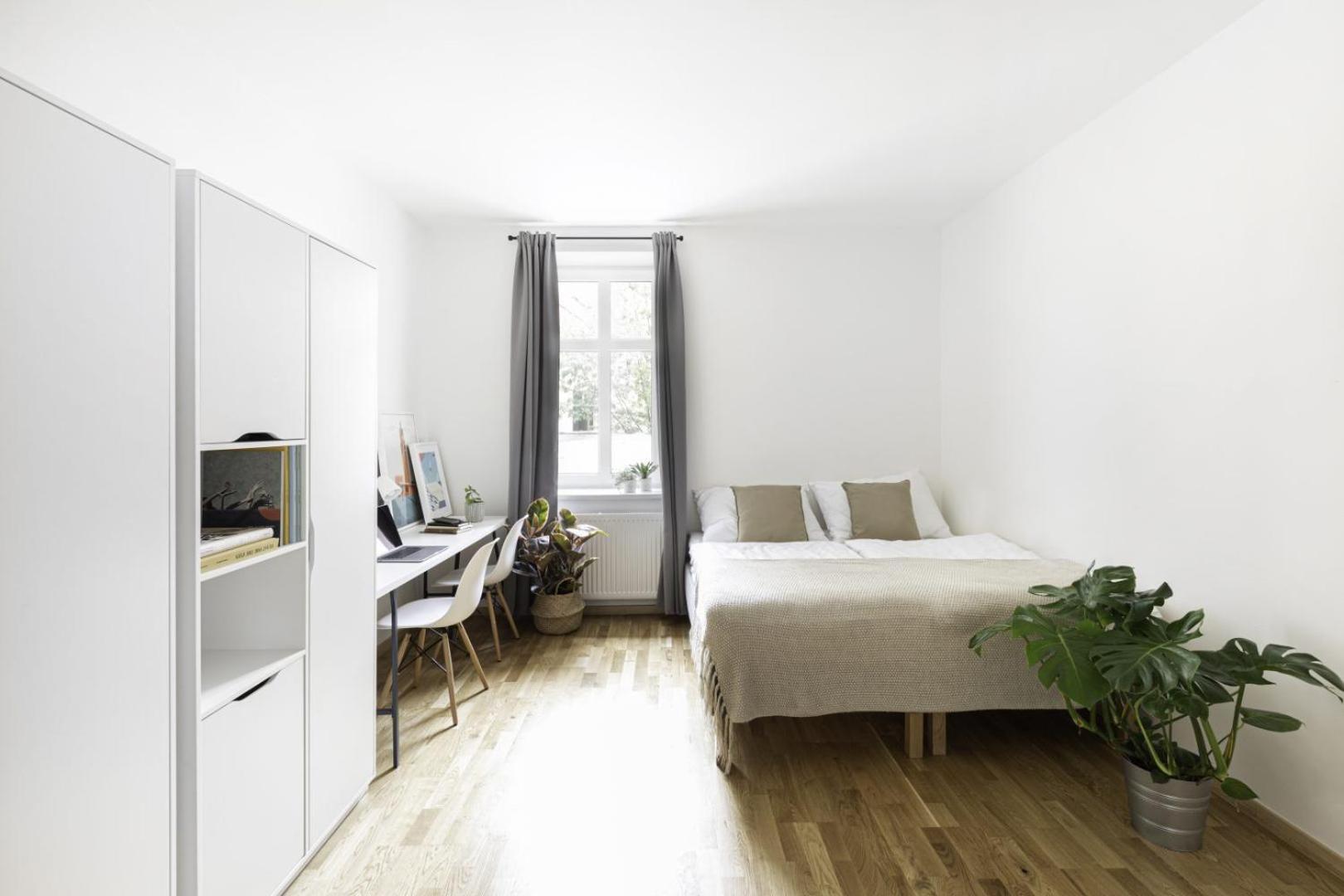 Holandska 36 *